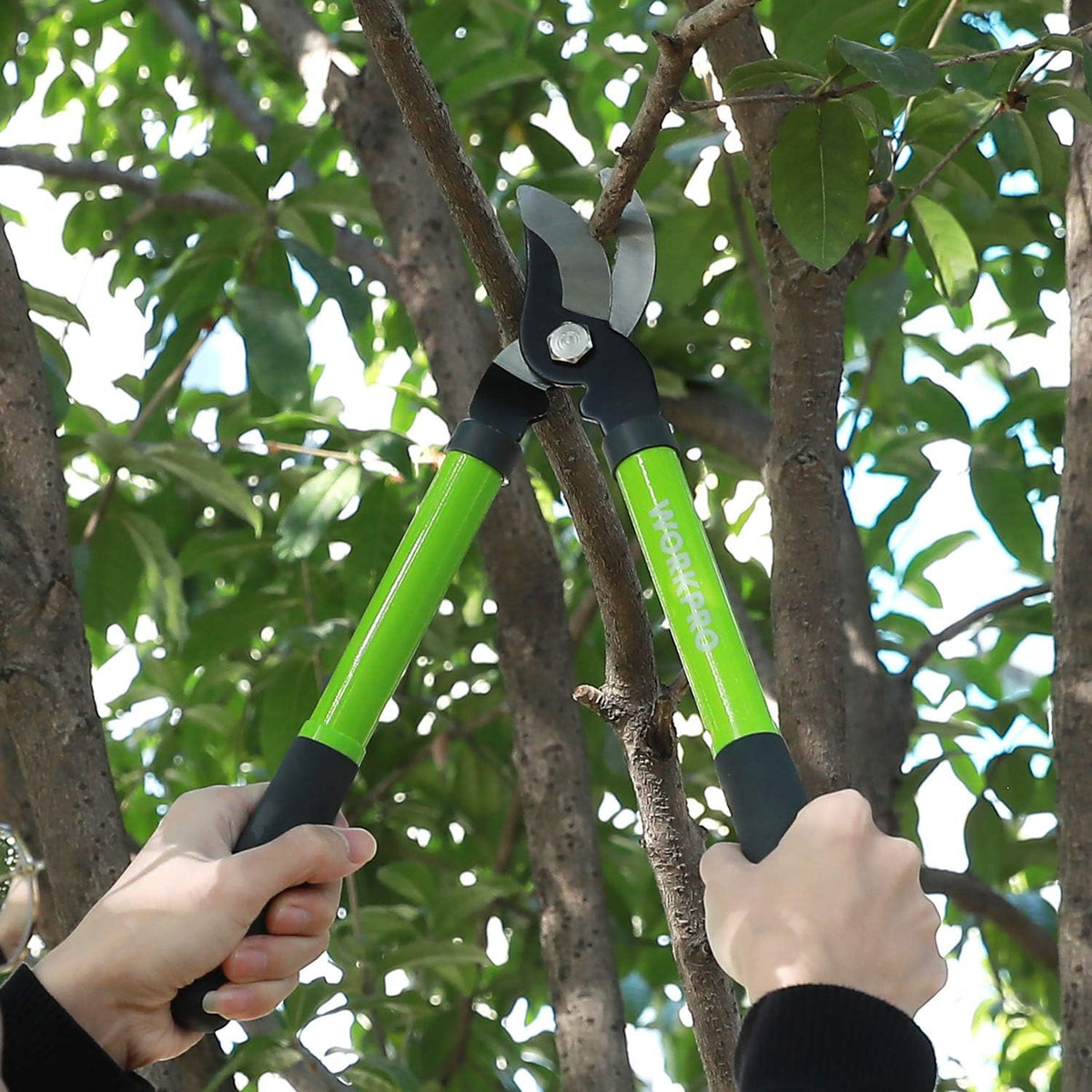 W151010 Limb and Branch Pruner Tool Set, Heat-Treated Steel (1 Set)