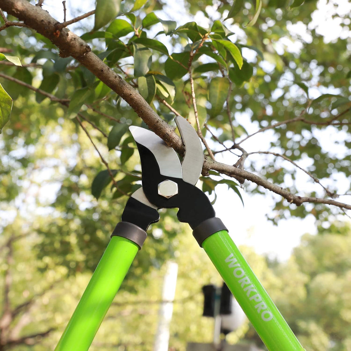 W151010 Limb and Branch Pruner Tool Set, Heat-Treated Steel (1 Set)