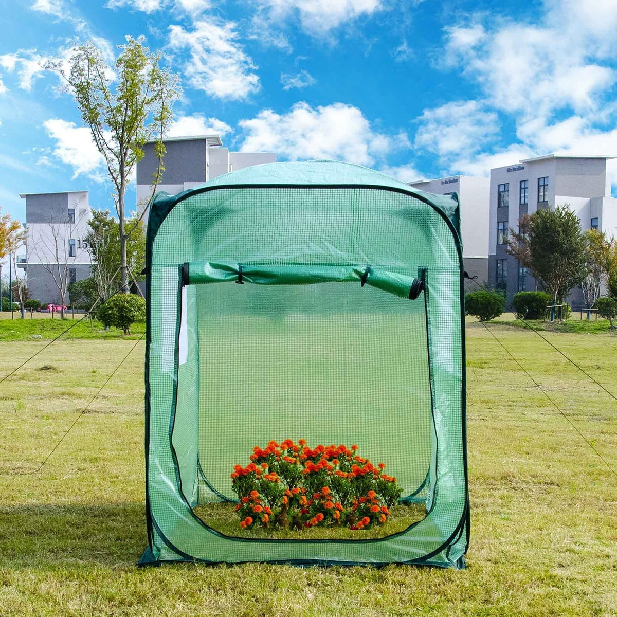 Pop Up Greenhouse Cover Flower House Mini Gardening Plant Flower Sunshine Room Room,Backyard PVC Greenhouse Cover for Cold Frost Protector Gardening Plants
