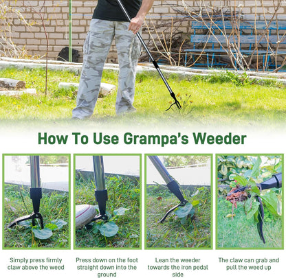 Weed Puller Tool-4-Claw Stand Up Weeder and Root Remover,Weeder Tool for Yard Long Handle Crack Weeder Without Pulling, Bending, Used for Weed Control, Dandelion, Moss or Thistle