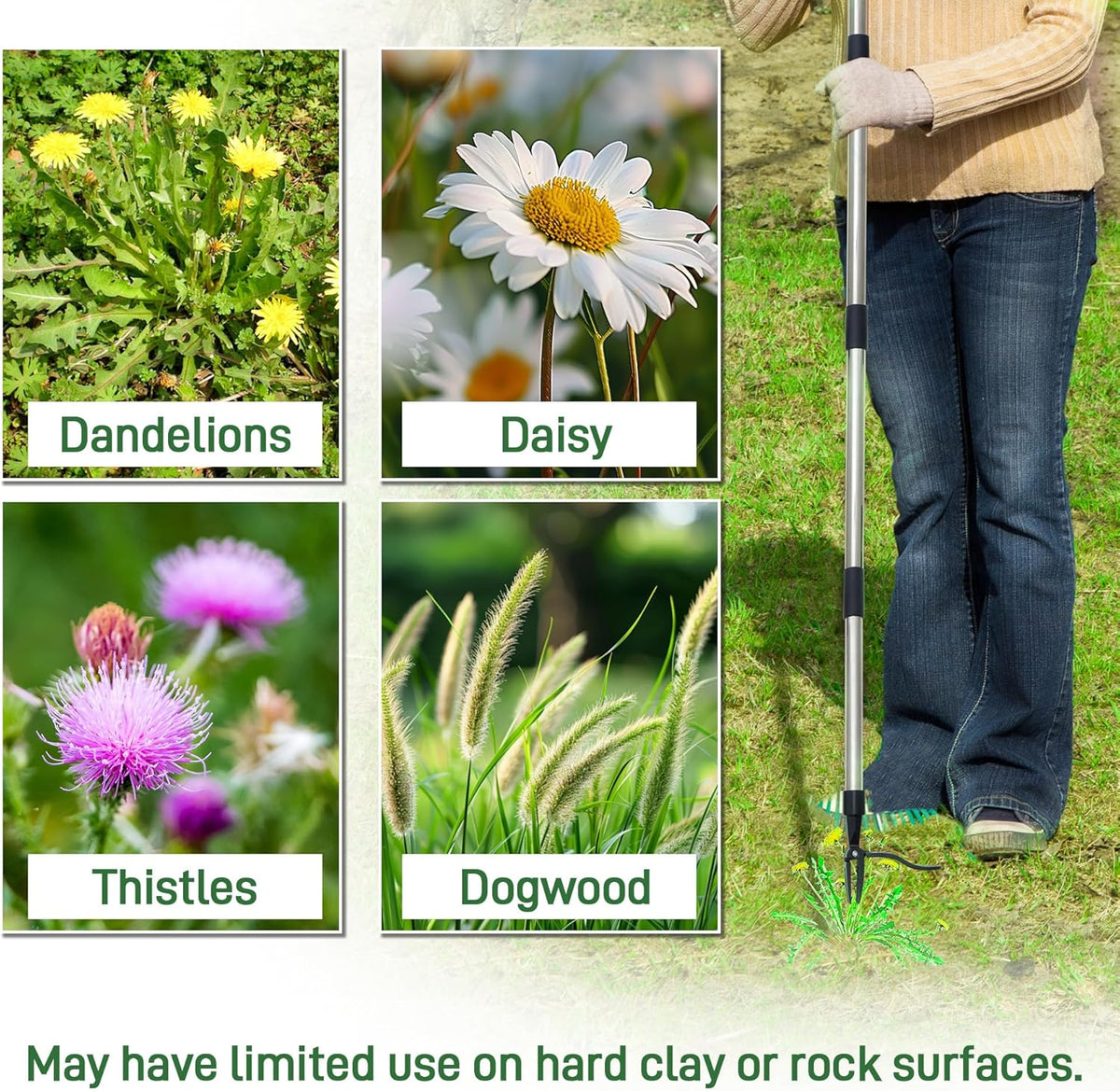 Weed Puller Tool-4-Claw Stand Up Weeder and Root Remover,Weeder Tool for Yard Long Handle Crack Weeder Without Pulling, Bending, Used for Weed Control, Dandelion, Moss or Thistle