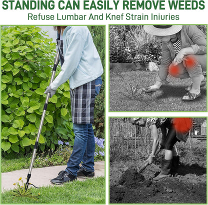 Weed Puller Tool-4-Claw Stand Up Weeder and Root Remover,Weeder Tool for Yard Long Handle Crack Weeder Without Pulling, Bending, Used for Weed Control, Dandelion, Moss or Thistle