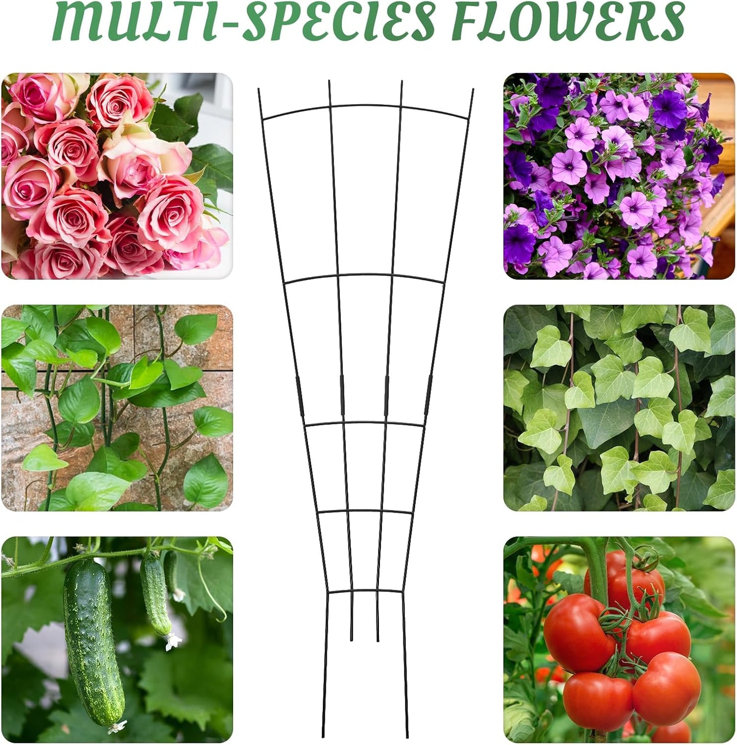 4 Pack 32'' Wave Shape Black Metal Trellis for Climbing Plants Indoor & Outdoor, Garden Trellis for Houseplants Flowers Vine Ivy