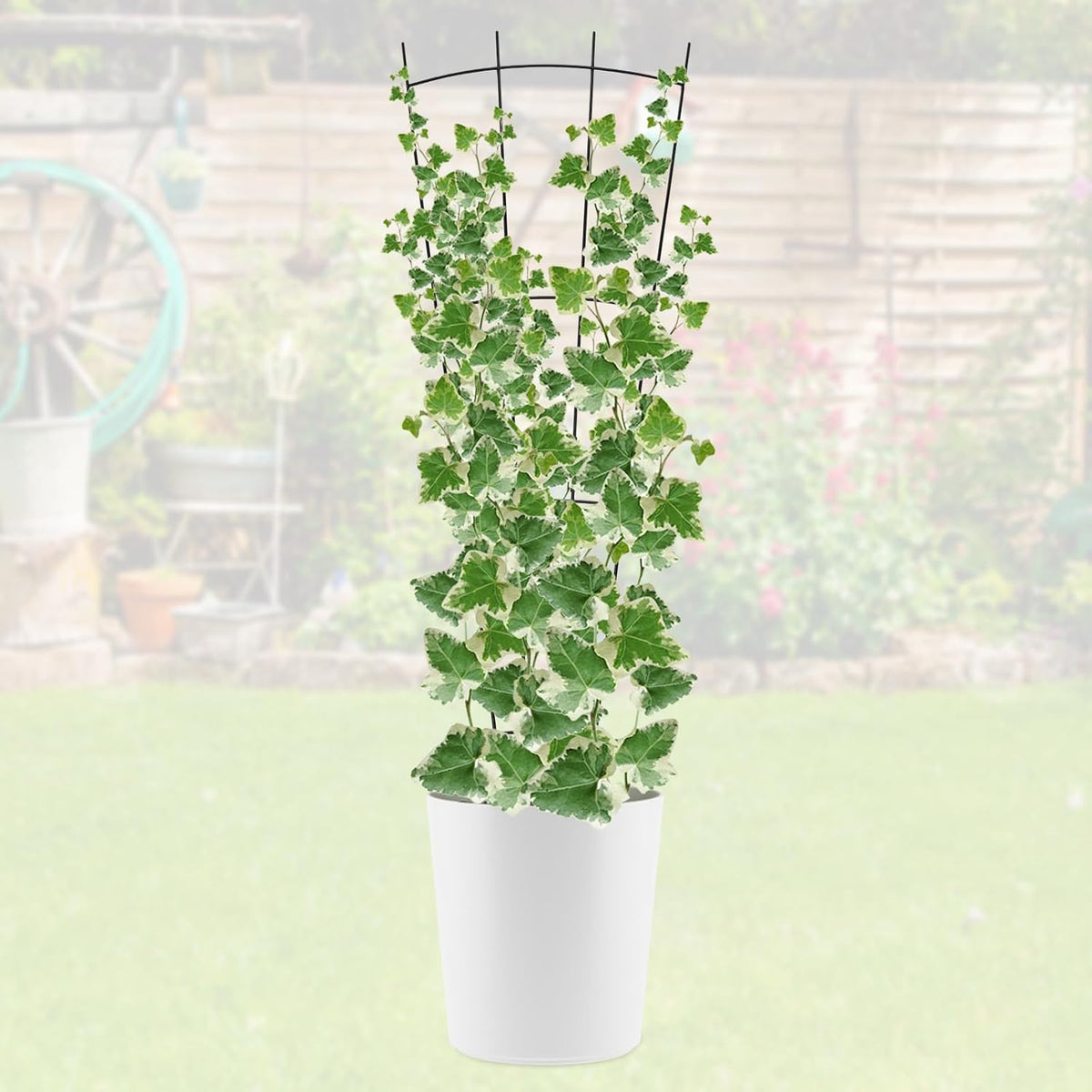 4 Pack 32'' Wave Shape Black Metal Trellis for Climbing Plants Indoor & Outdoor, Garden Trellis for Houseplants Flowers Vine Ivy