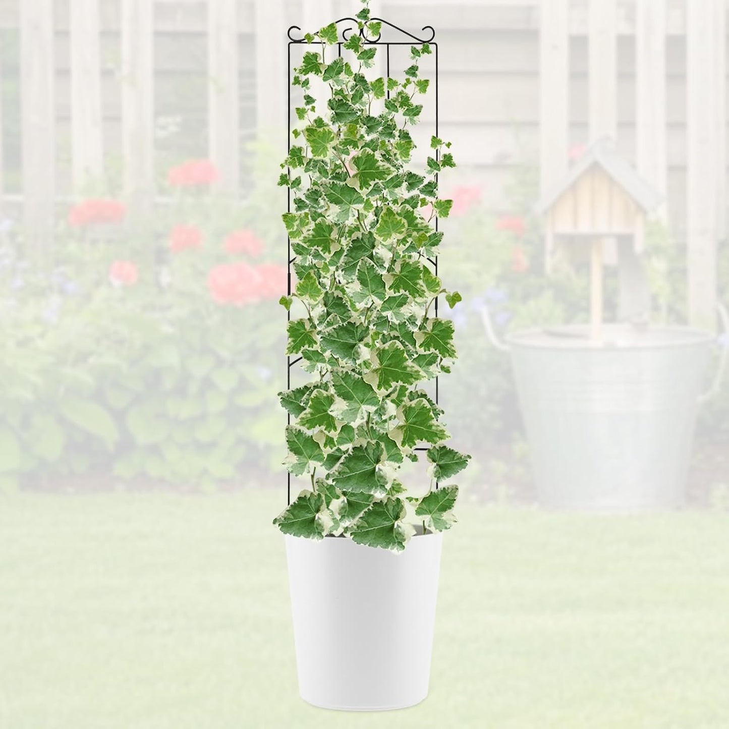 4 Pack 32'' Wave Shape Black Metal Trellis for Climbing Plants Indoor & Outdoor, Garden Trellis for Houseplants Flowers Vine Ivy