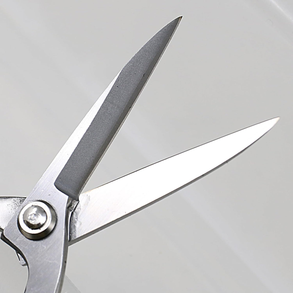 Ashinaga Bonsai Scissors Made in Japan 8.5", Japanese Stainless Steel Blade, Long Handle Bonsai Shears for Precision Pruning and Trimming