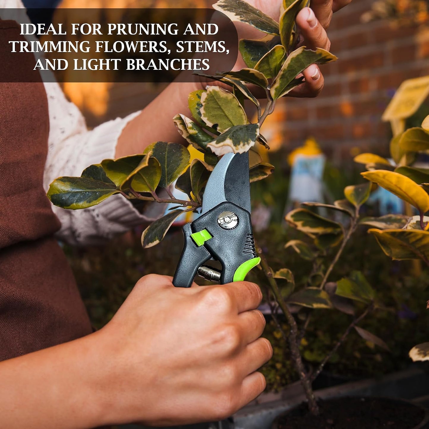 Bypass Pruner Elite - High Carbon Steel Bypass Hand Pruner Pruning Shears Scissors Clippers - Comfort Grip Handles - Perfect for Gardening Trimming Pruning