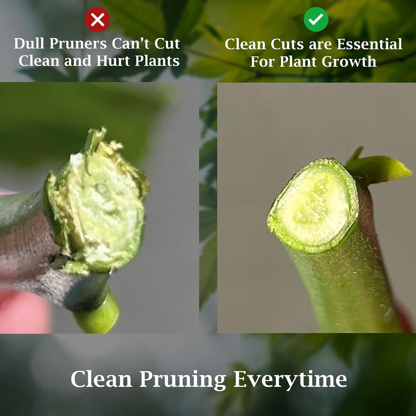 Bypass Pruner Elite - High Carbon Steel Bypass Hand Pruner Pruning Shears Scissors Clippers - Comfort Grip Handles - Perfect for Gardening Trimming Pruning