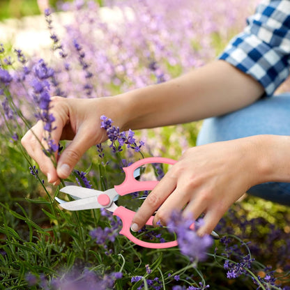 12Pcs Garden Shears Flower Scissors Flower Cutters for Stems Pruning Stainless Steel Floral Shears Floral Scissors with Comfortable Grip Handles for Fruit Picking Plant Stems Trimming (Pink)