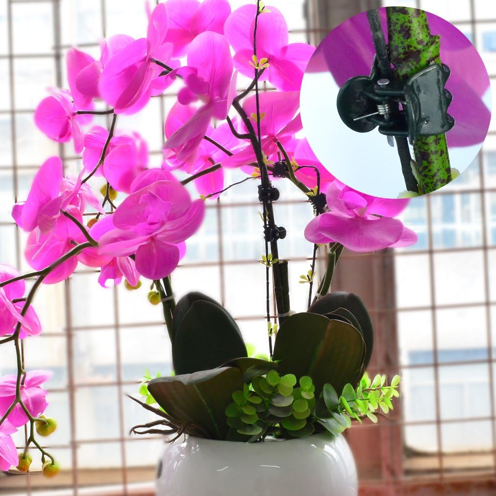 100 pcs Plant Clips, Orchid Clip Plant Orchid Support Clips Flower and Vine Clip for Supporting Stems Vines Grow Upright Dark Green