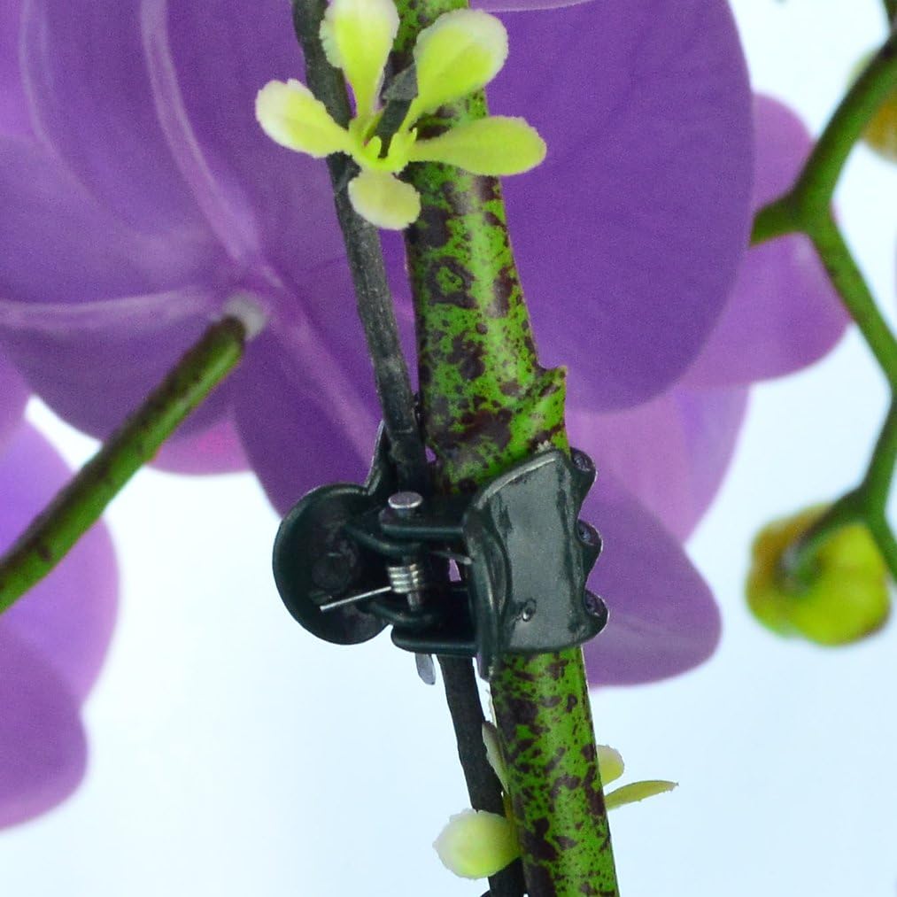 100 pcs Plant Clips, Orchid Clip Plant Orchid Support Clips Flower and Vine Clip for Supporting Stems Vines Grow Upright Dark Green