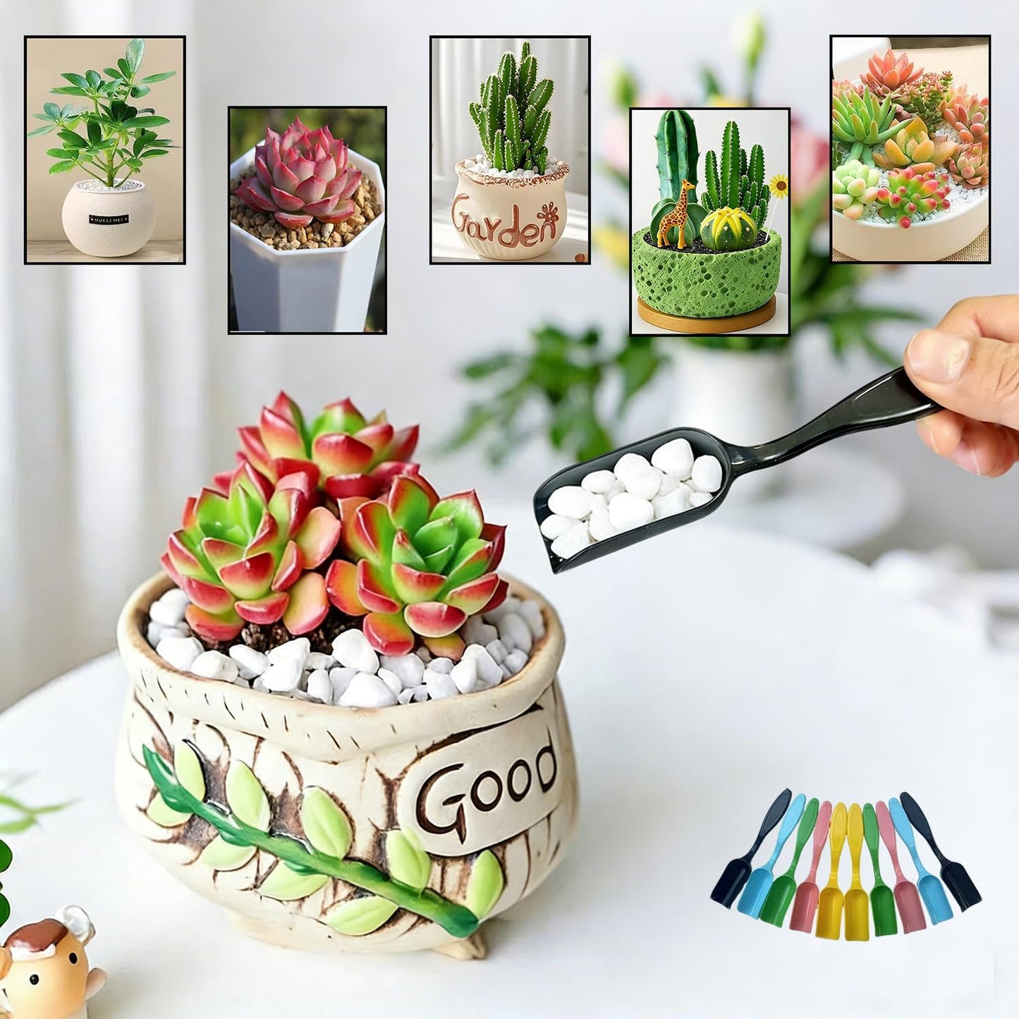 10Pcs Mini Shovel Set,Plastic Gardening Shovel Spoons Soil Scoops,Cultivation Digging Transplanting Tools for Succulents Potted Flowers,Succulent Sand Coffee Beans Milk Powder Scoops,5colors