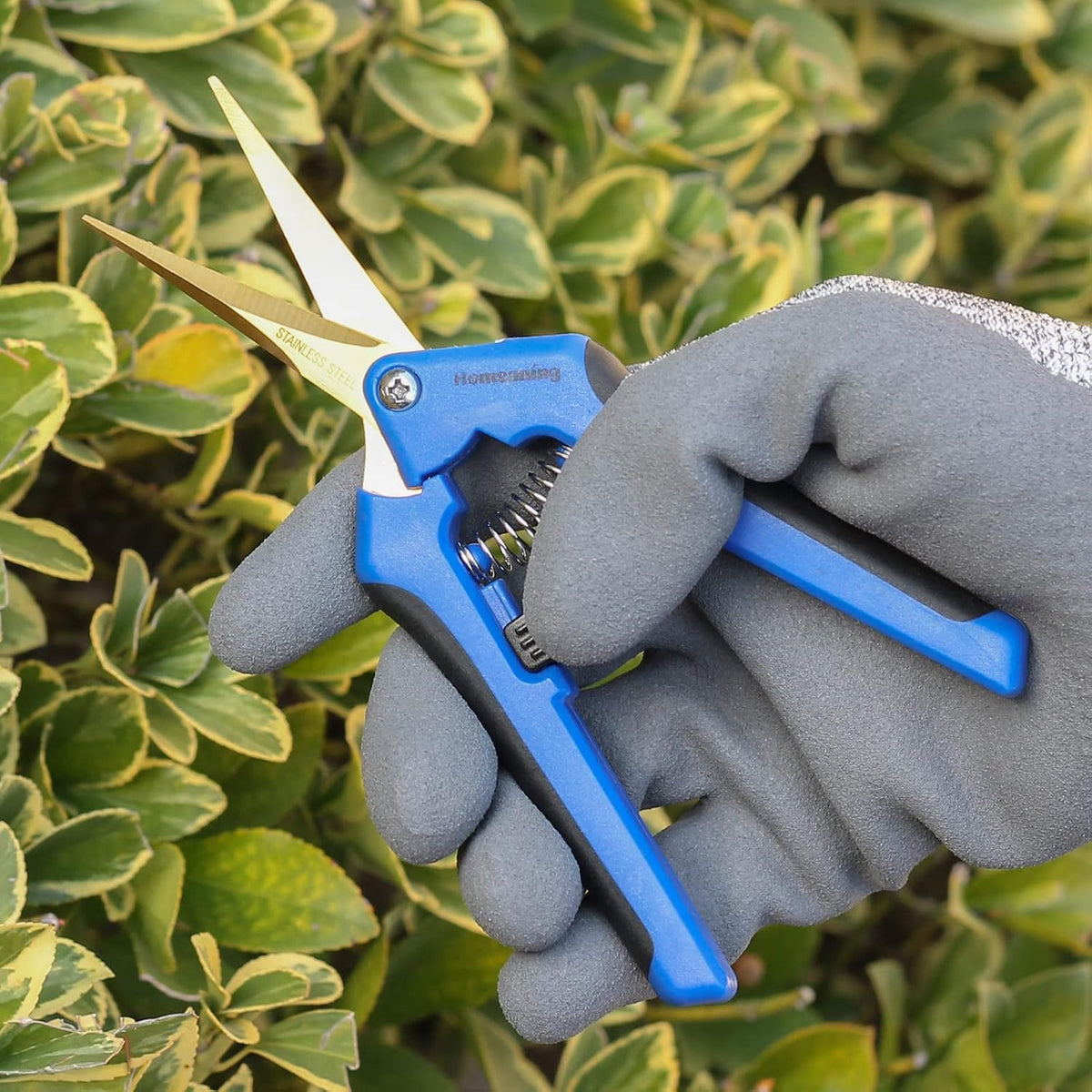 12 Packs Garden Pruning Shears with Curved Blades Trimming Scissors, Gardening Hand Pruning Snips Titanium Coated Precision Bonsai Pruning Shears, Convenient Flower Cutters(Blue)