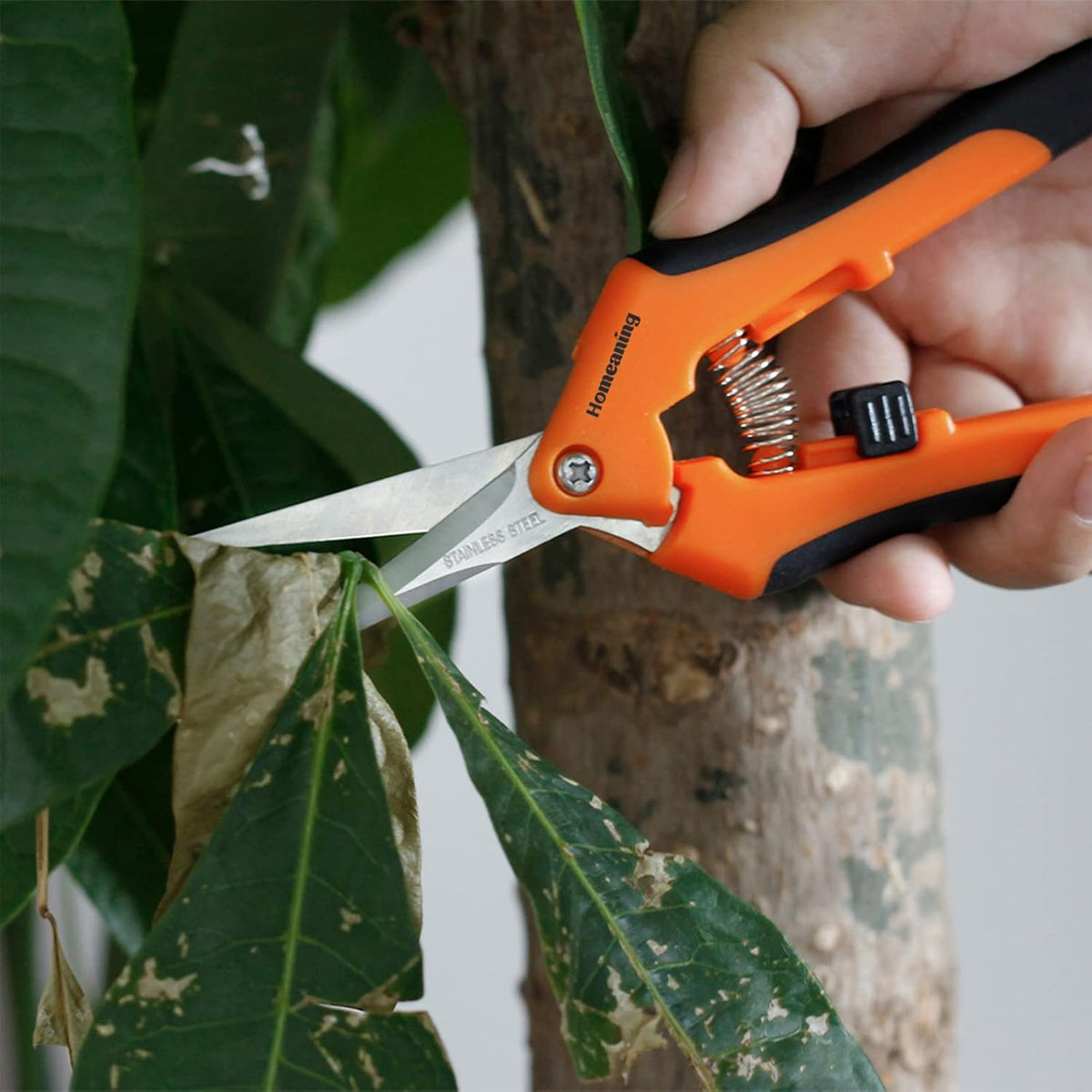 12 Packs Garden Pruning Shears with Curved Blades Trimming Scissors, Gardening Hand Pruning Snips Titanium Coated Precision Bonsai Pruning Shears, Convenient Flower Cutters(Blue)