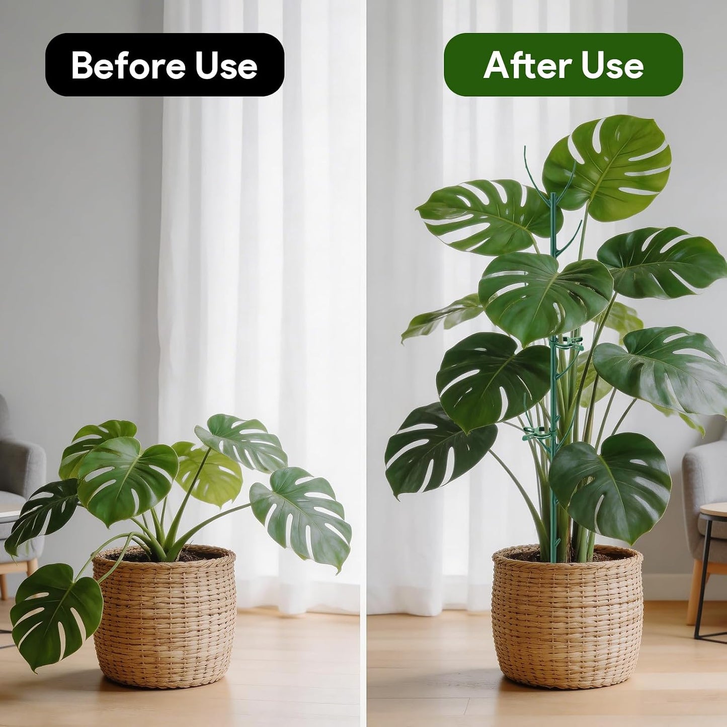 15Pack Monstera Plant Support for Indoor & Outdoor Plants with Clips & Ties