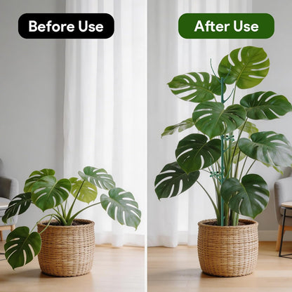 15Pack Monstera Plant Support for Indoor & Outdoor Plants with Clips & Ties