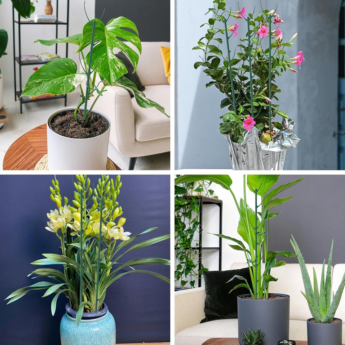 15Pack Monstera Plant Support for Indoor & Outdoor Plants with Clips & Ties