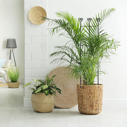 32.6in Monstera Plant Support, Plant Trellis Indoor 2P
