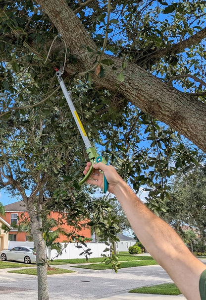 32 Inch Cut and Hold Pole Pruner - Lightweight Long Reach Tree Trimmer with Snip and Grip Technology, 1/2 Inch Cutting Capacity, One-Hand Use Fruit Picker for Roses, Persimmons & Tall Branches