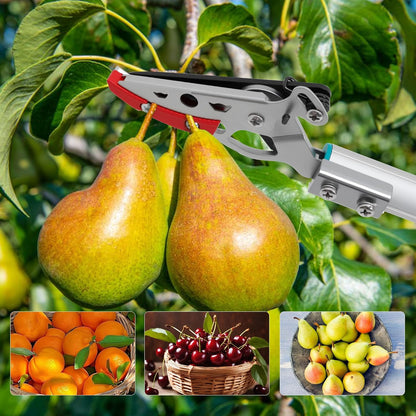32 Inch Cut and Hold Pole Pruner - Lightweight Long Reach Tree Trimmer with Snip and Grip Technology, 1/2 Inch Cutting Capacity, One-Hand Use Fruit Picker for Roses, Persimmons & Tall Branches