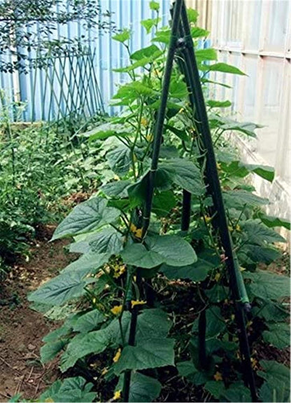 Garden Stakes 55 Inches Steel Plant Stakes Tomato Stakes Garden Poles Pack of 25