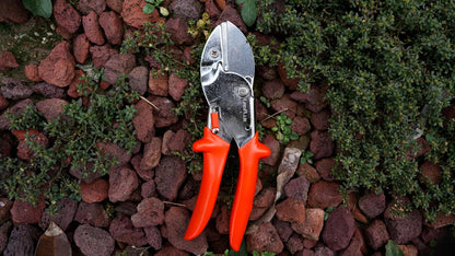 8" Professional Heavy Duty Anvil Pruning Shears with Anti-Rust SK-5 Blades, Garden Shears for Dry Stems and Small Branches, Gardening Scissors, Clippers for Wood, Non-Slip Handle. | LFXP1108S