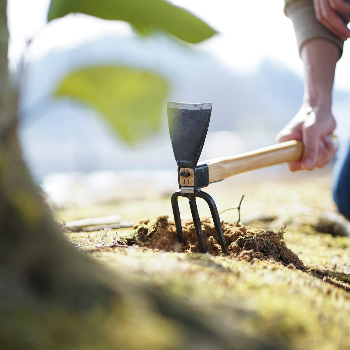 Japanese Forged Garden Hoe & Cultivator - Wooden Handle