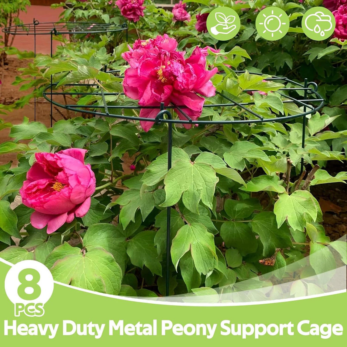 8 Pack Peony Cages and Supports - Grow Through Plant Support for Outdoor Plants - Sturdy Metal Support Frame for Peonies, Roses Flower Garden Cage - Wide Top Rings Bouquet Shape 12" D x 16" H