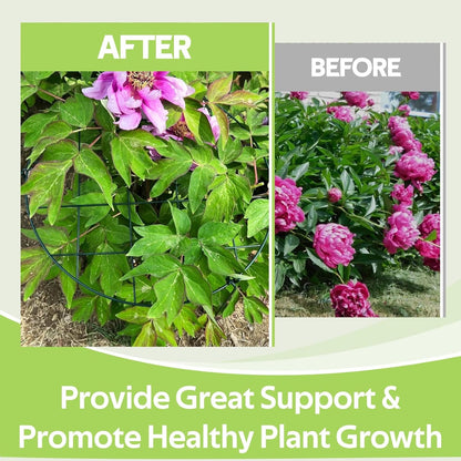 8 Pack Peony Cages and Supports - Grow Through Plant Support for Outdoor Plants - Sturdy Metal Support Frame for Peonies, Roses Flower Garden Cage - Wide Top Rings Bouquet Shape 12" D x 16" H