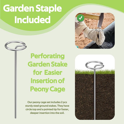 8 Pack Peony Cages and Supports - Grow Through Plant Support for Outdoor Plants - Sturdy Metal Support Frame for Peonies, Roses Flower Garden Cage - Wide Top Rings Bouquet Shape 12" D x 16" H