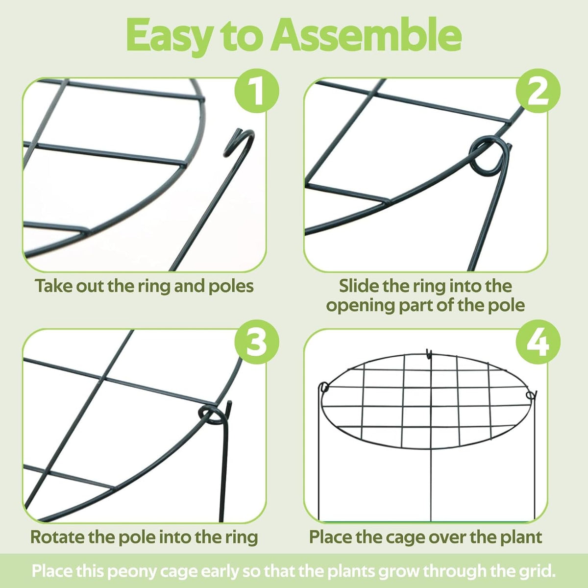 8 Pack Peony Cages and Supports - Grow Through Plant Support for Outdoor Plants - Sturdy Metal Support Frame for Peonies, Roses Flower Garden Cage - Wide Top Rings Bouquet Shape 12" D x 16" H