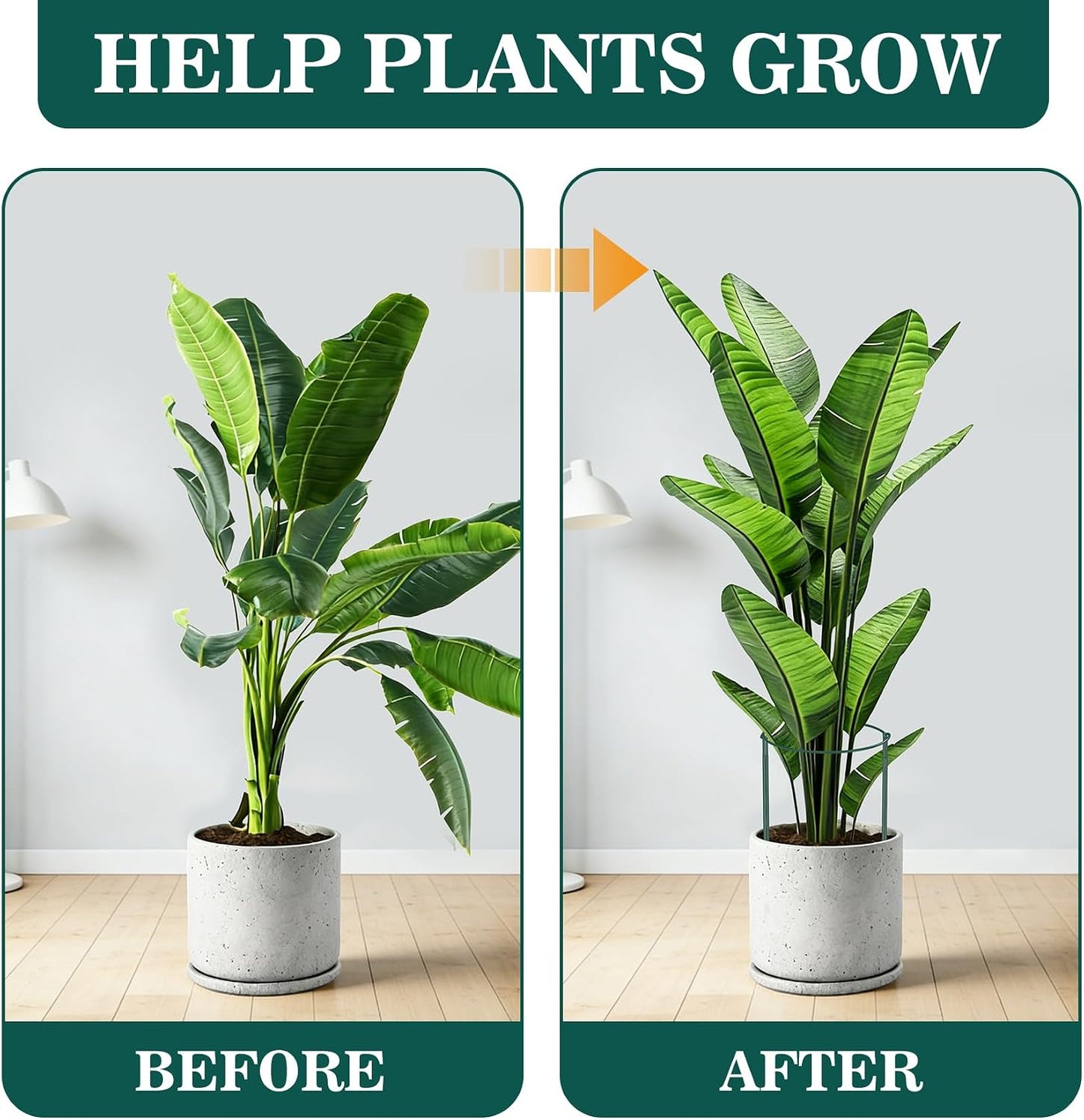 10 Pack Plant Support Stakes, 10" W x 16" H Half Round Peony Cages and Supports, Metal Peony Cage Plant Ring for Outdoor Plants Tomato Flower Vine, with Garden Labels, Clips and Ties