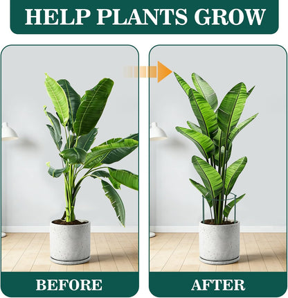10 Pack Plant Support Stakes, 10" W x 16" H Half Round Peony Cages and Supports, Metal Peony Cage Plant Ring for Outdoor Plants Tomato Flower Vine, with Garden Labels, Clips and Ties