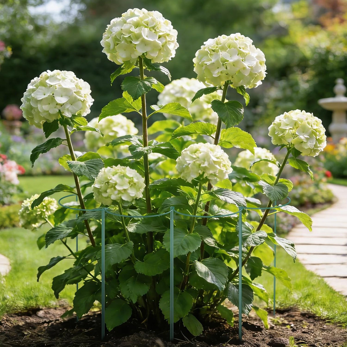 10 Pack Plant Support Stakes, 10" W x 16" H Half Round Peony Cages and Supports, Metal Peony Cage Plant Ring for Outdoor Plants Tomato Flower Vine, with Garden Labels, Clips and Ties