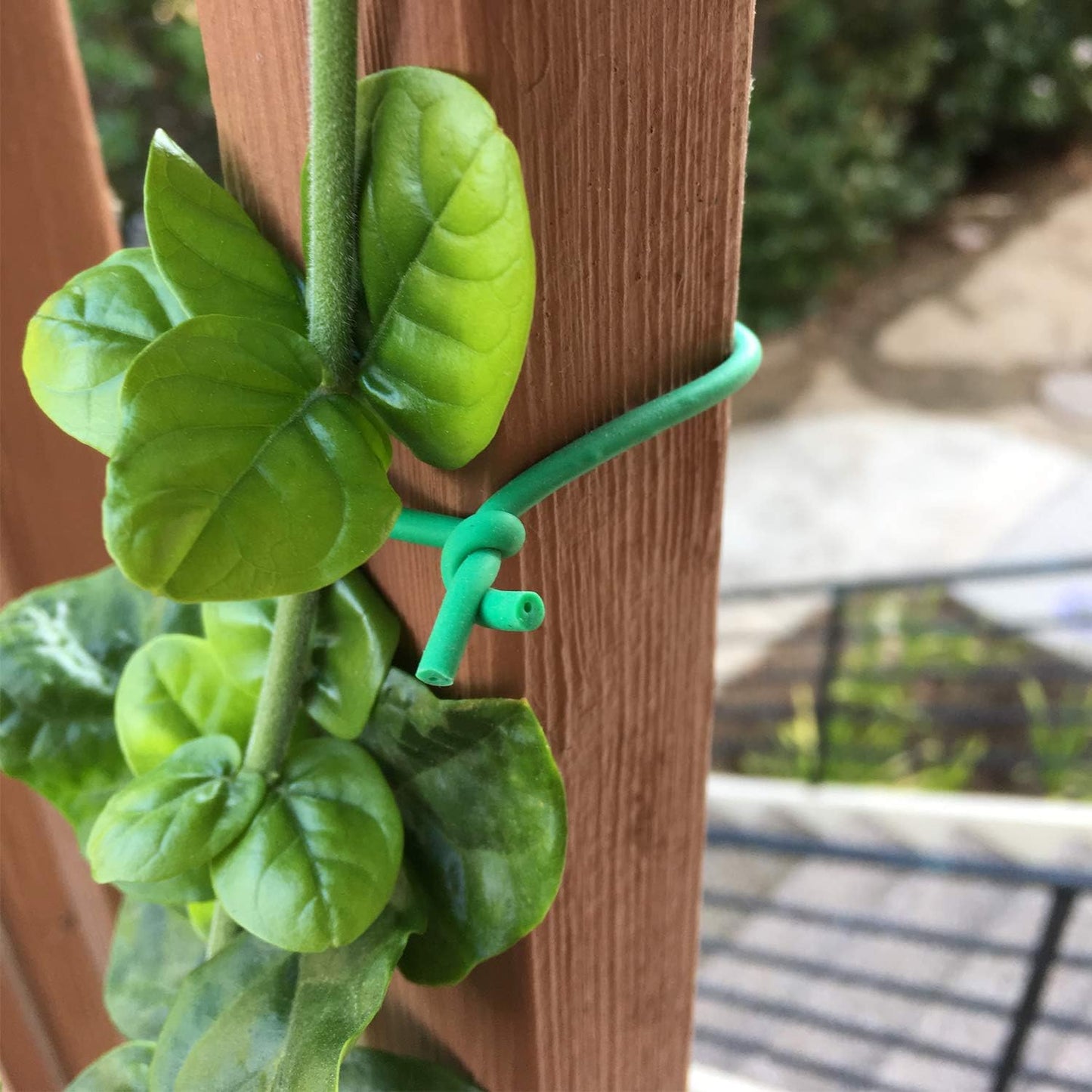 Pack of 6 Garden Soft Wire Tie, 32.8' ea. Garden Plant Tie, Light Duty Flexi Tie, Plant Twist Ties