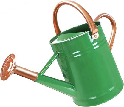 1 Gallon Metal Watering Can for Outdoor Garden, Plant & Flower Watering Pot for Gardening Bonsai Water Bucket with Sprinkler Head