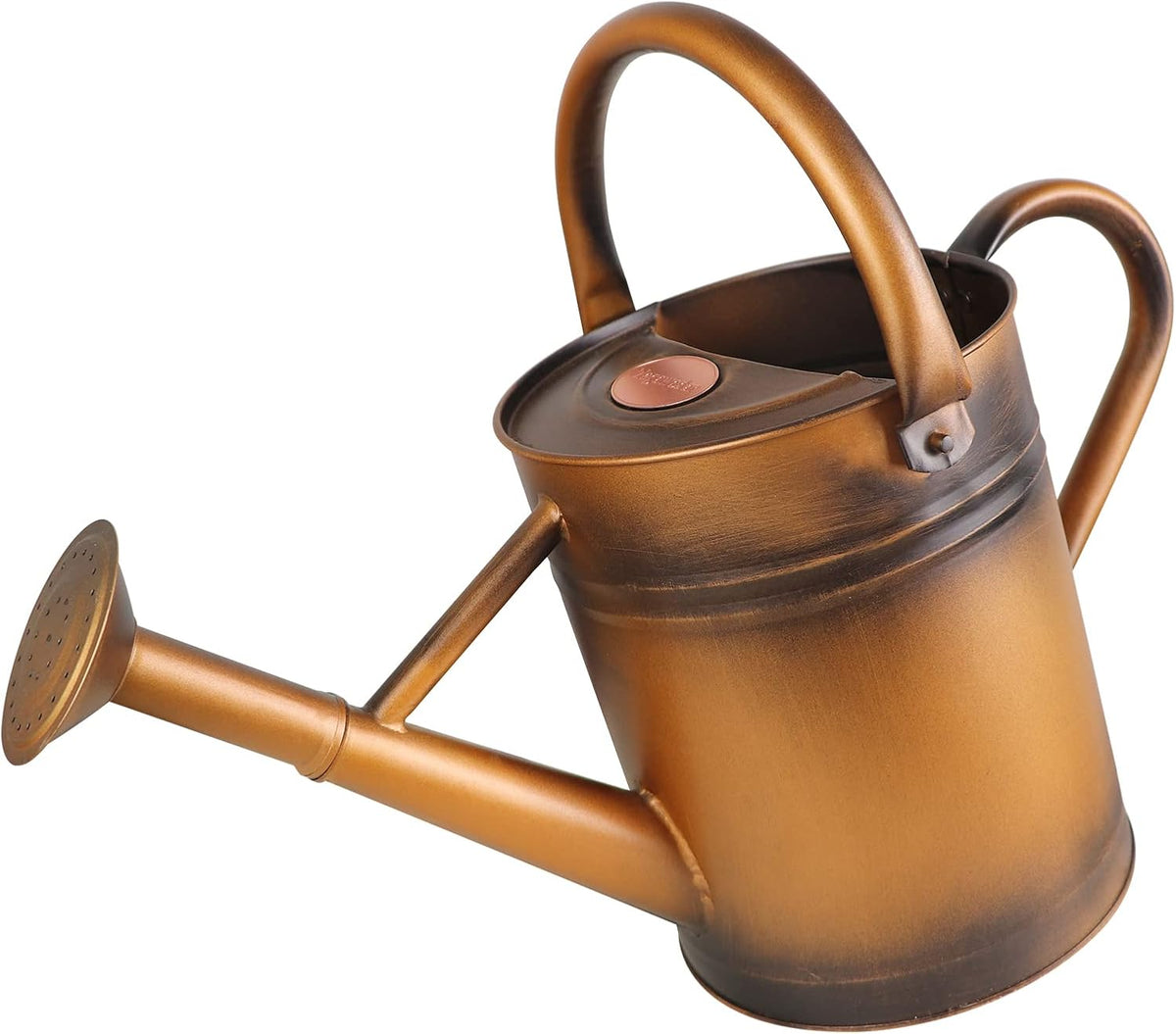 1 Gallon Metal Watering Can for Outdoor Garden, Plant & Flower Watering Pot for Gardening Bonsai Water Bucket with Sprinkler Head