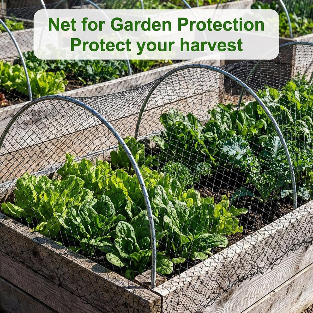 MAQIHAN 13x33ft Bird Netting for Garden - Mesh Net for Garden Protection
