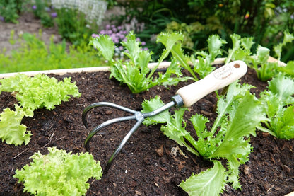 Dewit Cultivator Hand Tiller - 3-Tine, Short Handle, Works as Hoe - 11.5 in - Steel/Wood