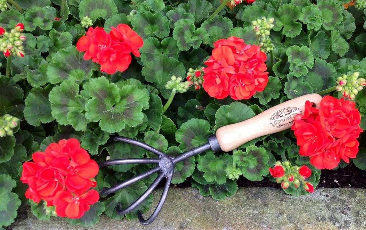 Dewit Cultivator Hand Tiller - 3-Tine, Short Handle, Works as Hoe - 11.5 in - Steel/Wood