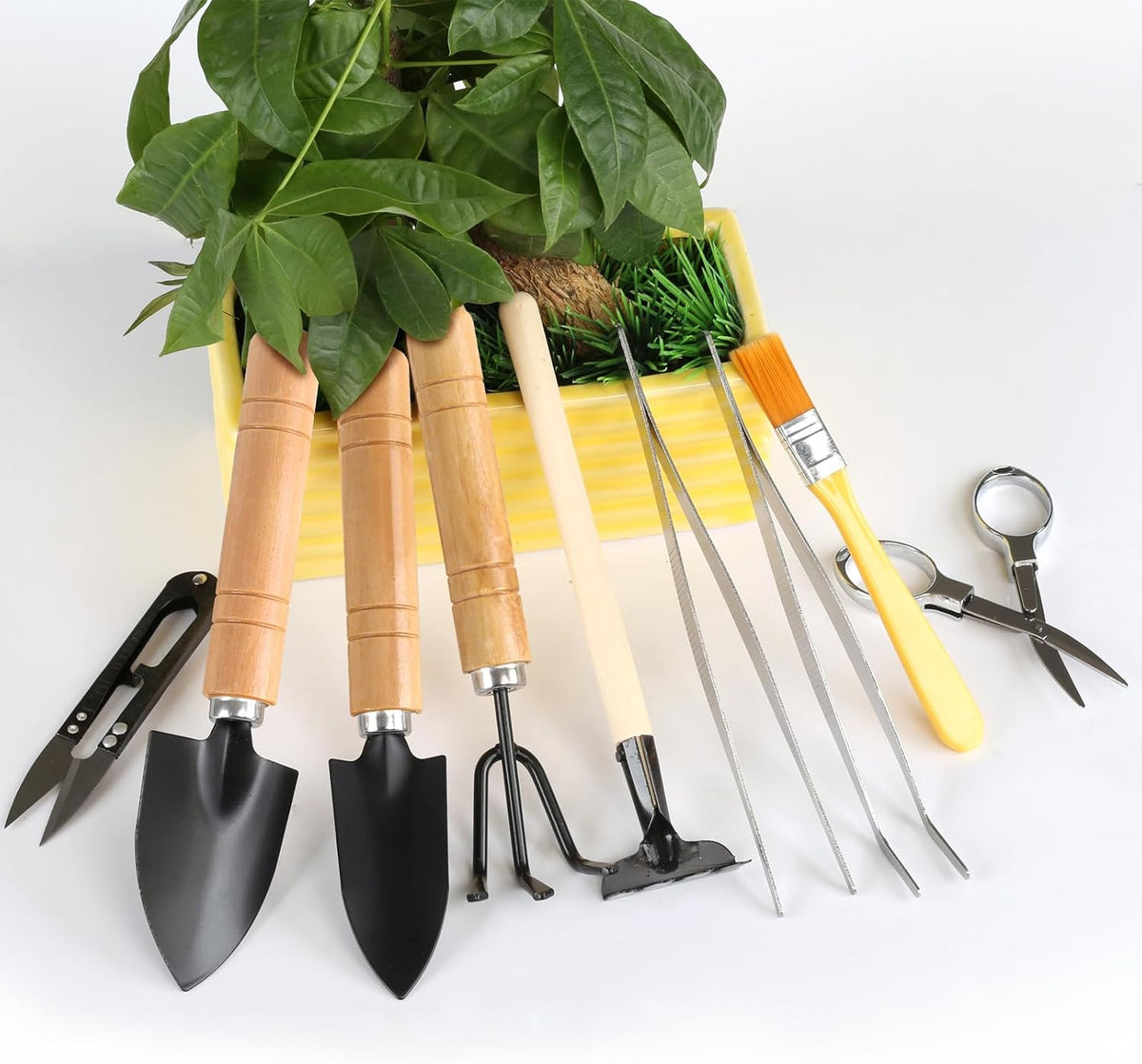 9 Pcs Basic Bonsai Tools Set, Bonsai Tree Kit, Mini Garden Tools