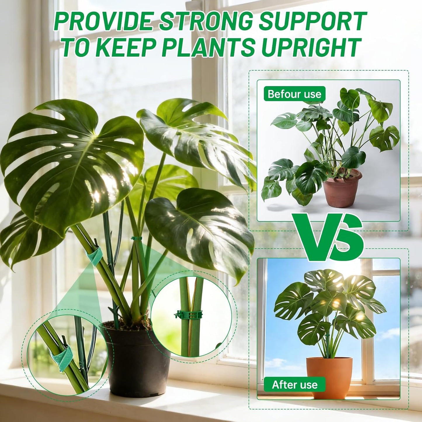 10 Plant Support Stakes for Indoor Plants with Clips & Plant Tie