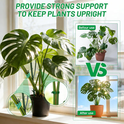 10 Plant Support Stakes for Indoor Plants with Clips & Plant Tie