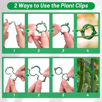10 Plant Support Stakes for Indoor Plants with Clips & Plant Tie