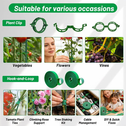10 Plant Support Stakes for Indoor Plants with Clips & Plant Tie