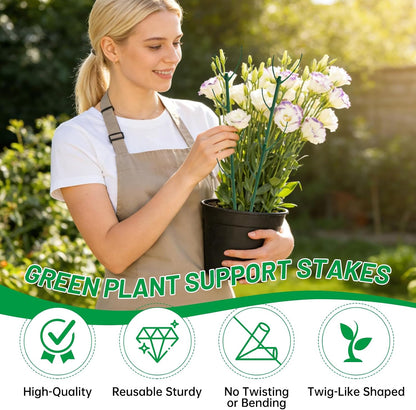10 Plant Support Stakes for Indoor Plants with Clips & Plant Tie