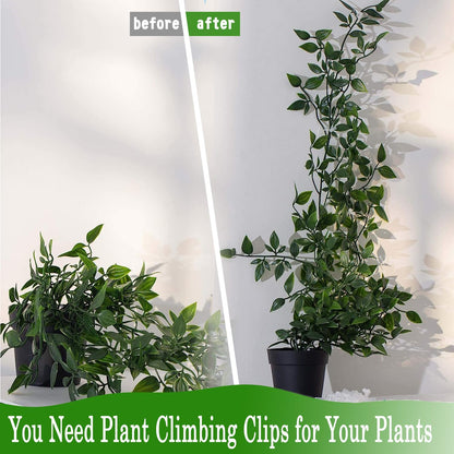 100Pcs Plant Climbing Wall Fixture Clips,Plant Fixer Invisible Wall Vines Fixing Clips Self-Adhesive Clips Plant Vine Traction for Indoor Outdoor Decoration and Cable Wire Fixing (Green)