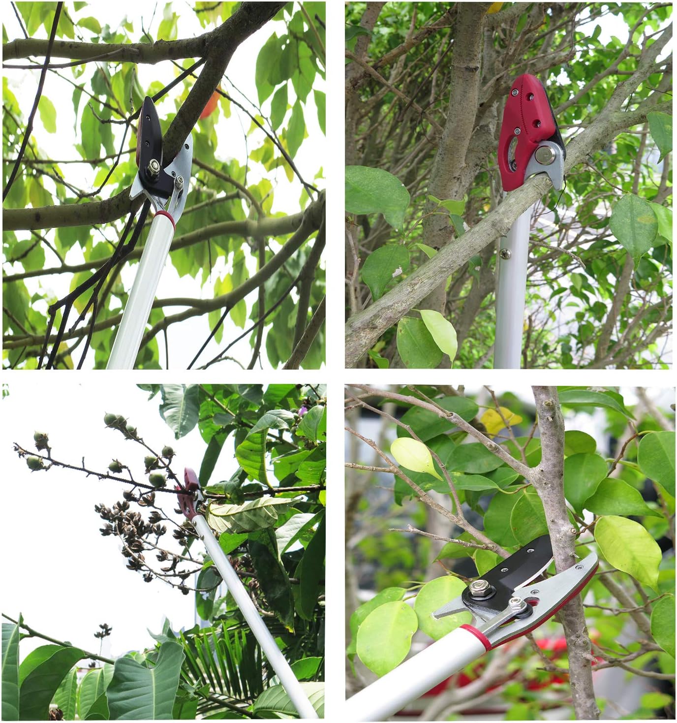 6FT Long Reach Pruner and Fruit Picker with Cut & Hold Feature, Lightweight 1.43lb Aluminum Pole with 90° Rotating Head, High Carbon Steel Sharp Blade, Ergonomic Tree Trimmer for High Branches