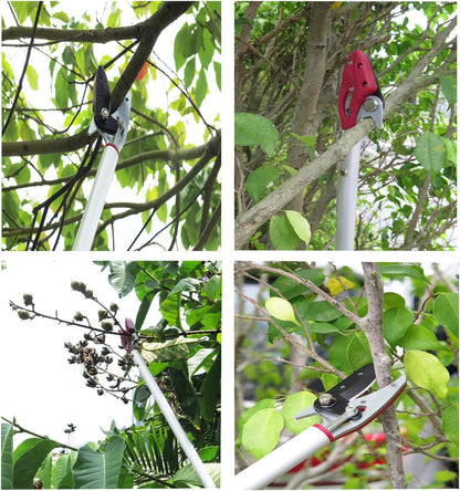 6FT Long Reach Pruner and Fruit Picker with Cut & Hold Feature, Lightweight 1.43lb Aluminum Pole with 90° Rotating Head, High Carbon Steel Sharp Blade, Ergonomic Tree Trimmer for High Branches