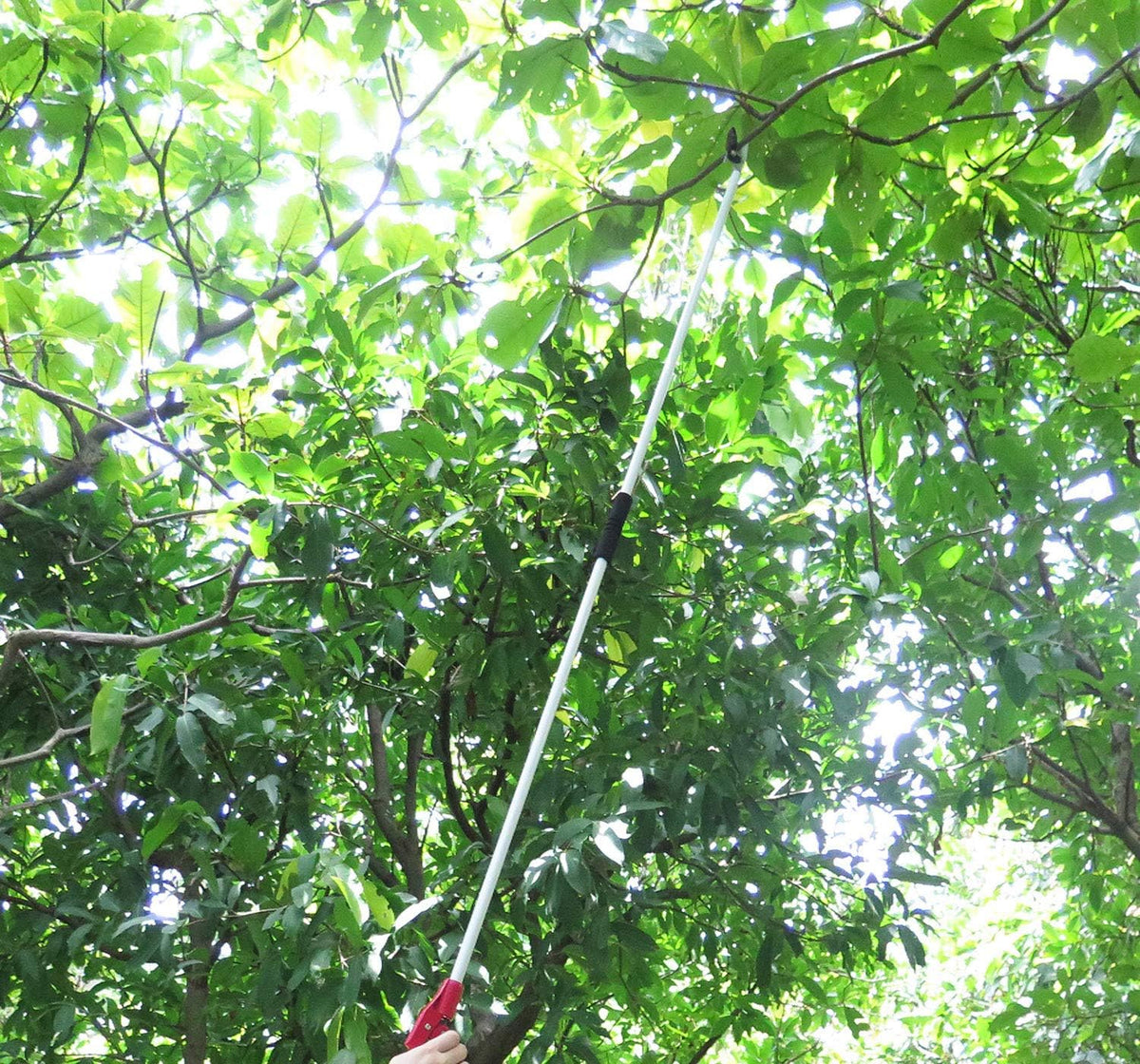 6FT Long Reach Pruner and Fruit Picker with Cut & Hold Feature, Lightweight 1.43lb Aluminum Pole with 90° Rotating Head, High Carbon Steel Sharp Blade, Ergonomic Tree Trimmer for High Branches
